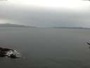 ./images/koeye/fitz-hugh/20170311/fitz-hugh20170311_145702.jpg