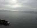./images/koeye/fitz-hugh/20170311/fitz-hugh20170311_160003.jpg