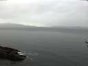 ./images/koeye/fitz-hugh/20170311/fitz-hugh20170311_162704.jpg