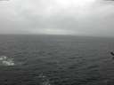 ./images/koeye/fitz-hugh/20170313/fitz-hugh20170313_145707.jpg
