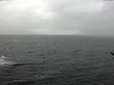 ./images/koeye/fitz-hugh/20170313/fitz-hugh20170313_150001.jpg
