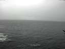 ./images/koeye/fitz-hugh/20170313/fitz-hugh20170313_152708.jpg