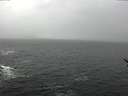 ./images/koeye/fitz-hugh/20170313/fitz-hugh20170313_153001.jpg