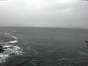 ./images/koeye/fitz-hugh/20170313/fitz-hugh20170313_155707.jpg