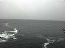 ./images/koeye/fitz-hugh/20170313/fitz-hugh20170313_160001.jpg