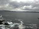 ./images/koeye/fitz-hugh/20170313/fitz-hugh20170313_172708.jpg