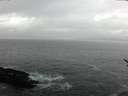 ./images/koeye/fitz-hugh/20170313/fitz-hugh20170313_182709.jpg