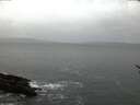 ./images/koeye/fitz-hugh/20170314/fitz-hugh20170314_072710.jpg