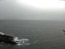 ./images/koeye/fitz-hugh/20170314/fitz-hugh20170314_105710.jpg