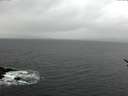./images/koeye/fitz-hugh/20170314/fitz-hugh20170314_121802.jpg
