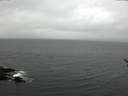 ./images/koeye/fitz-hugh/20170314/fitz-hugh20170314_122101.jpg