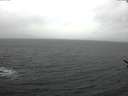 ./images/koeye/fitz-hugh/20170314/fitz-hugh20170314_135703.jpg