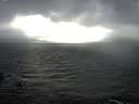 ./images/koeye/fitz-hugh/20170314/fitz-hugh20170314_165703.jpg