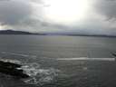 ./images/koeye/fitz-hugh/20170315/fitz-hugh20170315_121206.jpg