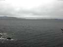 ./images/koeye/fitz-hugh/20170315/fitz-hugh20170315_135702.jpg