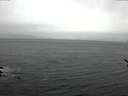 ./images/koeye/fitz-hugh/20170315/fitz-hugh20170315_142703.jpg