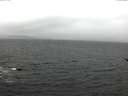 ./images/koeye/fitz-hugh/20170315/fitz-hugh20170315_155702.jpg
