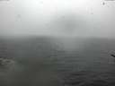 ./images/koeye/fitz-hugh/20170315/fitz-hugh20170315_165704.jpg