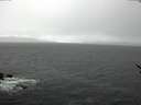 ./images/koeye/fitz-hugh/20170316/fitz-hugh20170316_175702.jpg