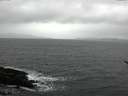 ./images/koeye/fitz-hugh/20170317/fitz-hugh20170317_122402.jpg