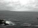 ./images/koeye/fitz-hugh/20170317/fitz-hugh20170317_135703.jpg