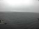 ./images/koeye/fitz-hugh/20170317/fitz-hugh20170317_175703.jpg