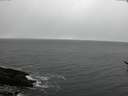 ./images/koeye/fitz-hugh/20170318/fitz-hugh20170318_121503.jpg