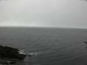 ./images/koeye/fitz-hugh/20170318/fitz-hugh20170318_121803.jpg