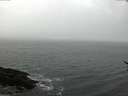 ./images/koeye/fitz-hugh/20170318/fitz-hugh20170318_122102.jpg