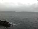 ./images/koeye/fitz-hugh/20170318/fitz-hugh20170318_122402.jpg