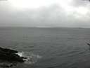 ./images/koeye/fitz-hugh/20170318/fitz-hugh20170318_122703.jpg