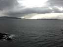 ./images/koeye/fitz-hugh/20170318/fitz-hugh20170318_155702.jpg