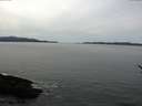 ./images/koeye/fitz-hugh/20170320/fitz-hugh20170320_122103.jpg