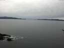 ./images/koeye/fitz-hugh/20170321/fitz-hugh20170321_095707.jpg