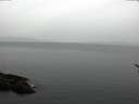 ./images/koeye/fitz-hugh/20170321/fitz-hugh20170321_121801.jpg
