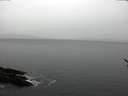 ./images/koeye/fitz-hugh/20170321/fitz-hugh20170321_122101.jpg