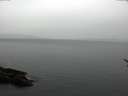 ./images/koeye/fitz-hugh/20170321/fitz-hugh20170321_122401.jpg