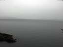 ./images/koeye/fitz-hugh/20170321/fitz-hugh20170321_122701.jpg