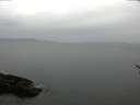 ./images/koeye/fitz-hugh/20170321/fitz-hugh20170321_135703.jpg