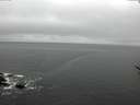 ./images/koeye/fitz-hugh/20170322/fitz-hugh20170322_095706.jpg