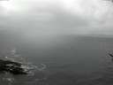 ./images/koeye/fitz-hugh/20170322/fitz-hugh20170322_121503.jpg