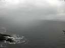 ./images/koeye/fitz-hugh/20170322/fitz-hugh20170322_121803.jpg