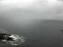 ./images/koeye/fitz-hugh/20170322/fitz-hugh20170322_122103.jpg