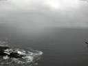 ./images/koeye/fitz-hugh/20170322/fitz-hugh20170322_122702.jpg
