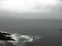 ./images/koeye/fitz-hugh/20170322/fitz-hugh20170322_135703.jpg
