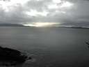 ./images/koeye/fitz-hugh/20170322/fitz-hugh20170322_155702.jpg