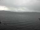 ./images/koeye/fitz-hugh/20170324/fitz-hugh20170324_121501.jpg