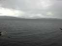 ./images/koeye/fitz-hugh/20170324/fitz-hugh20170324_121801.jpg