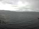 ./images/koeye/fitz-hugh/20170324/fitz-hugh20170324_122102.jpg