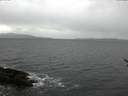 ./images/koeye/fitz-hugh/20170324/fitz-hugh20170324_155703.jpg